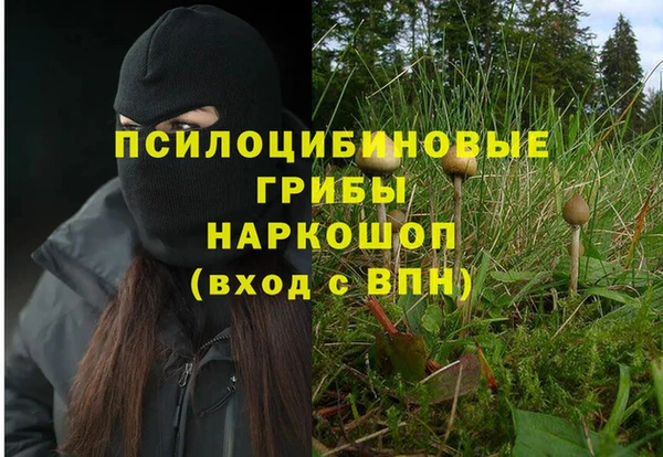 гашик Алексеевка
